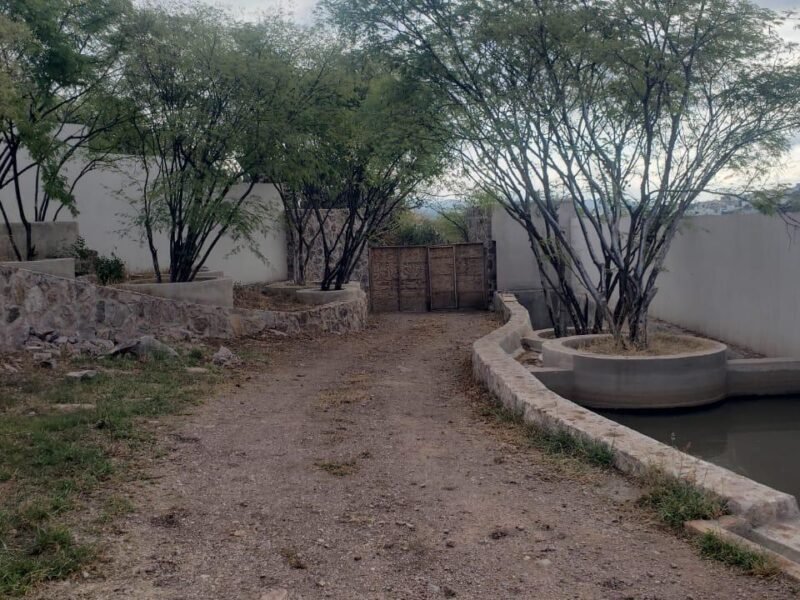 Viñedo y Terraza Tinto (PRECIO PREVENTA) Fechas desde Diciembre 2025