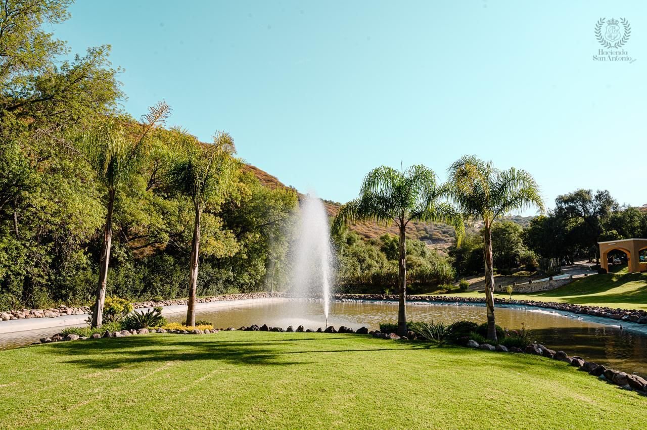 Fuente del lago entre palmeras