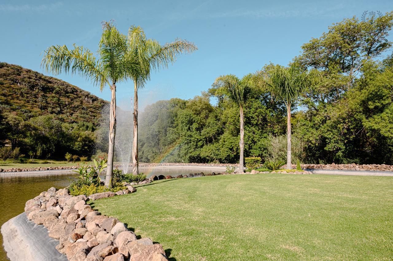 Isla de palmeras con fuente y arcoíris
